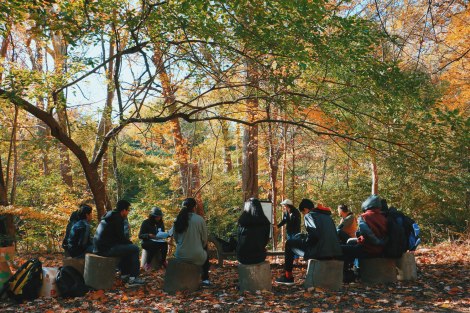 green-muslims-2016-2